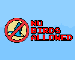 1771637-kongregate-no-birds-allowed.png