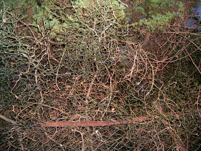 HPIM0688.JPG