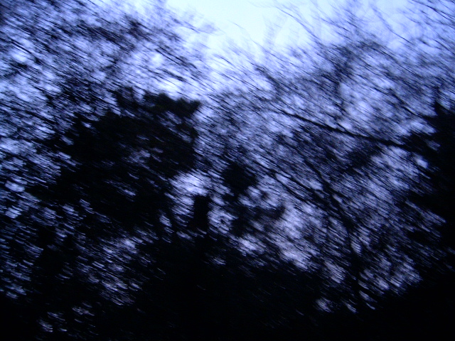 HPIM0689.JPG