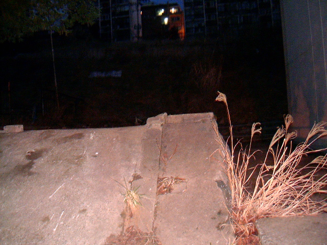 HPIM0706.JPG