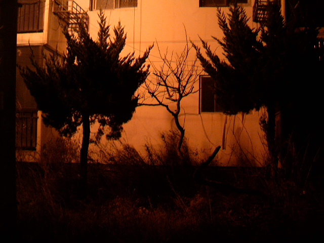 HPIM0720.JPG