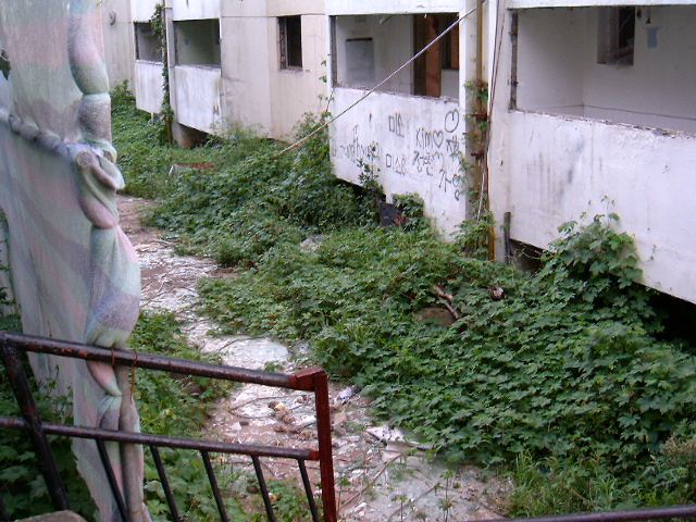 HPIM0842.JPG