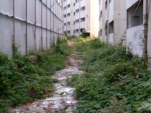 HPIM0843.JPG