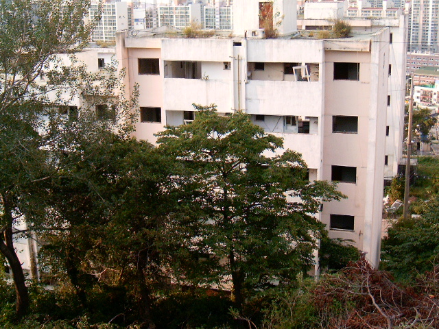 HPIM0851.JPG