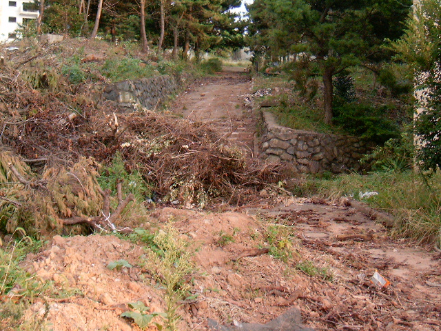 HPIM0853.JPG