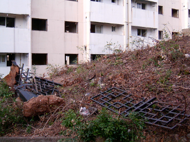 HPIM0856.JPG