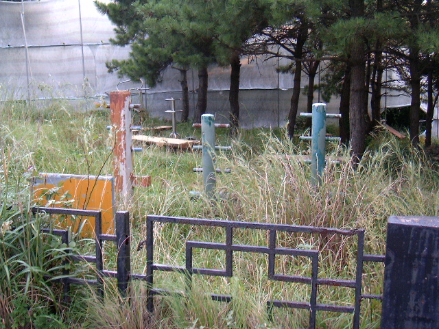 HPIM0857.JPG