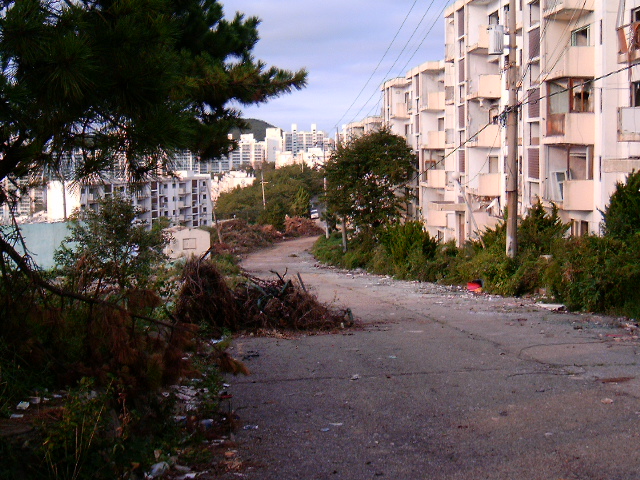 HPIM0859.JPG
