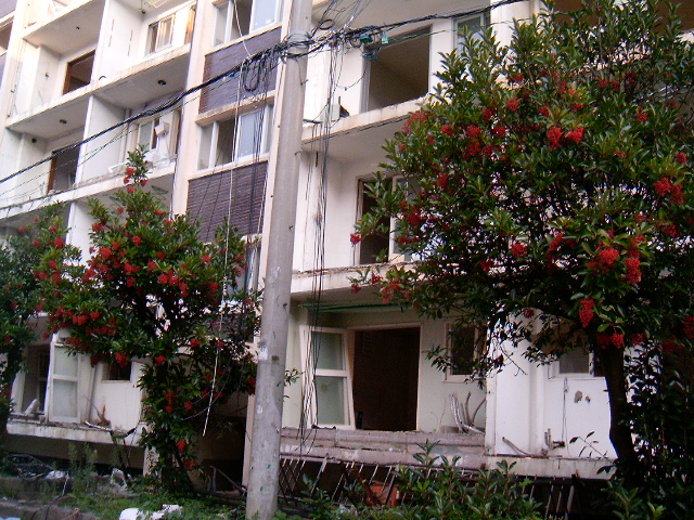 HPIM0876.JPG