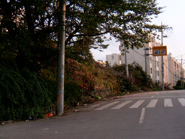 HPIM0881.JPG