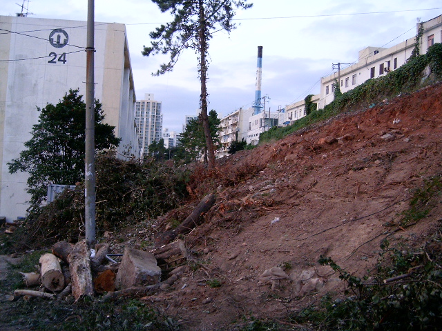 HPIM0889.JPG