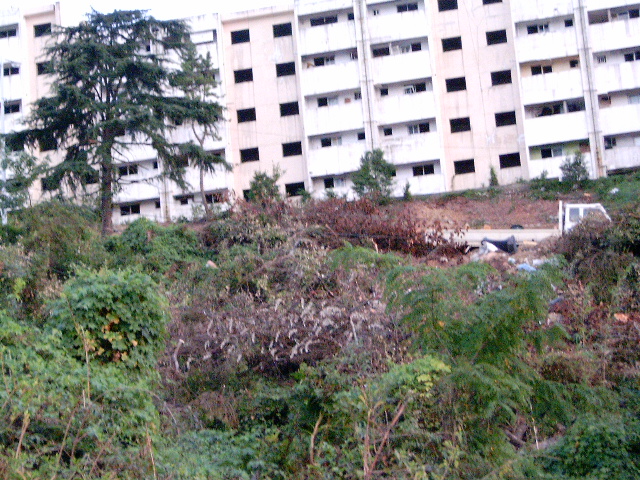 HPIM0893.JPG