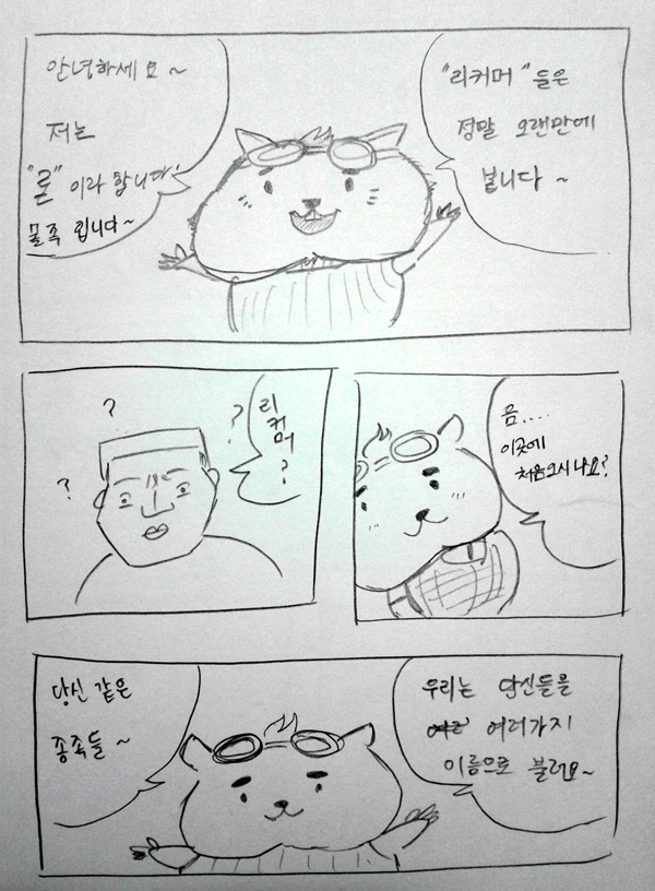 115.jpg