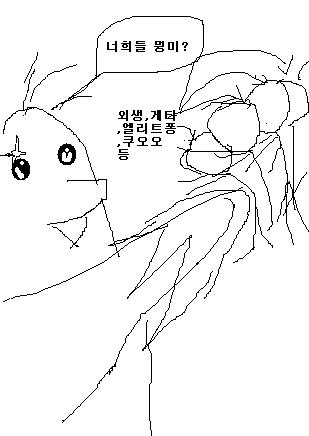 모험5.JPG