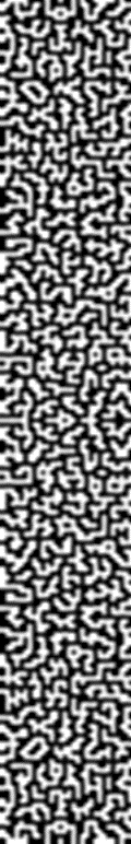 2.GIF
