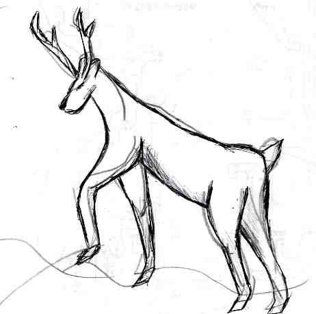 img395.jpg