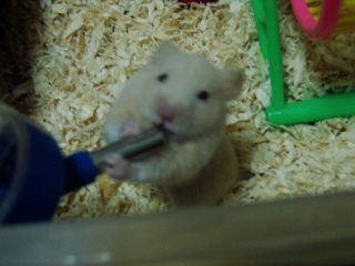 DSC05604.JPG