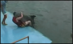 c0035822_48057d0d71c0b_dnwjdgh_deployer.gif